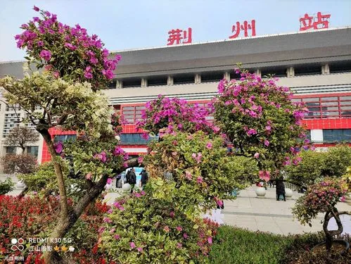 邯鄲到荊州物流公司-為您提供實惠可靠的物流服務邯鄲至荊州專線-