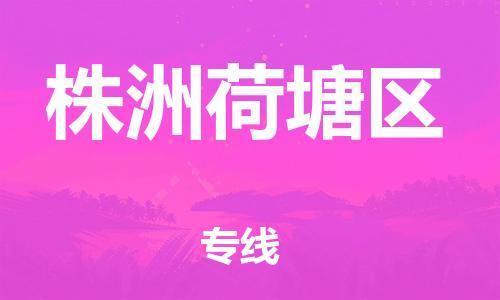 邯鄲到株洲荷塘區(qū)物流公司-物流專線快速直達(dá)-機(jī)動(dòng)性高