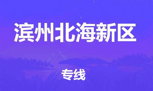 邯鄲到濱州北海新區(qū)物流公司-行李托運(yùn)專線-全境閃送